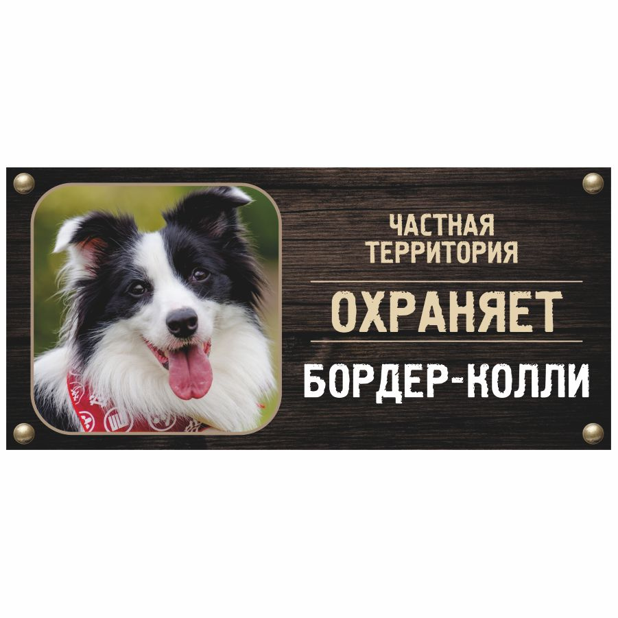 Табличка, Злая собака, Территорию охраняет Бордер-колли, на металлической основе, 30см х 14 см, на забор, #1