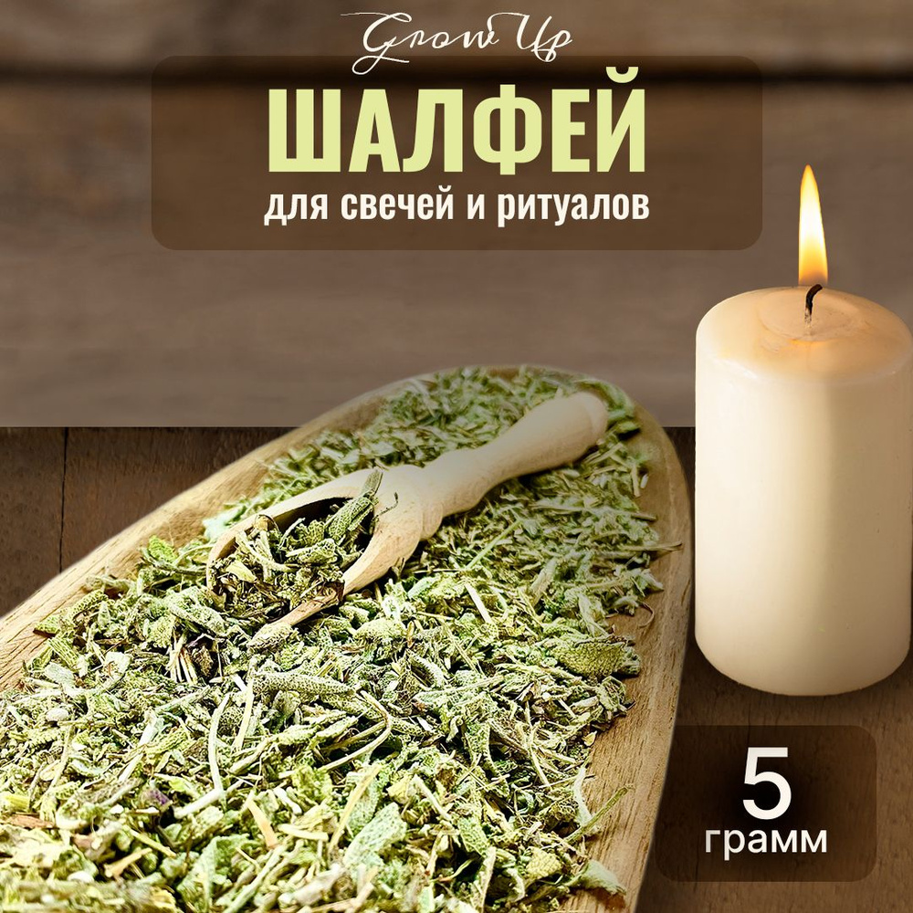 Шалфей сушеная трава, мелкий рез 5 гр - сухоцветы для свечей, творчества и ритуалов  #1