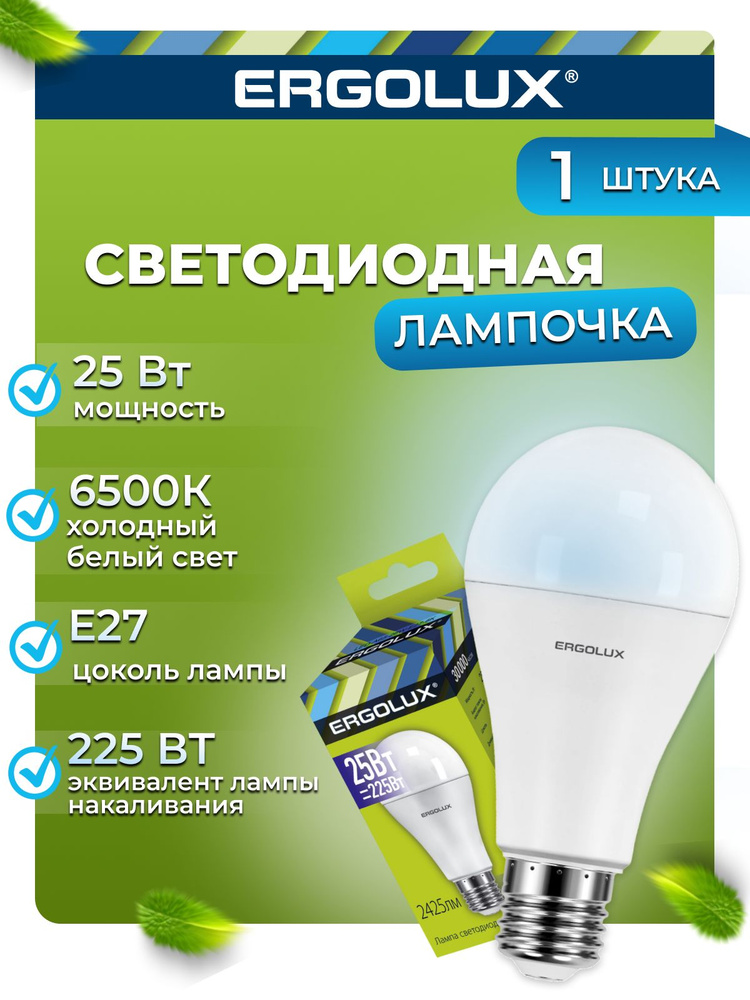 Светодиодная лампочка 6500K E27 / Ergolux / LED, 25Вт #1