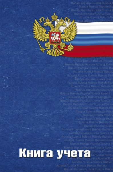 ПрофПресс Канц Книга учета A4 (21 × 29.7 см), листов: 96 #1