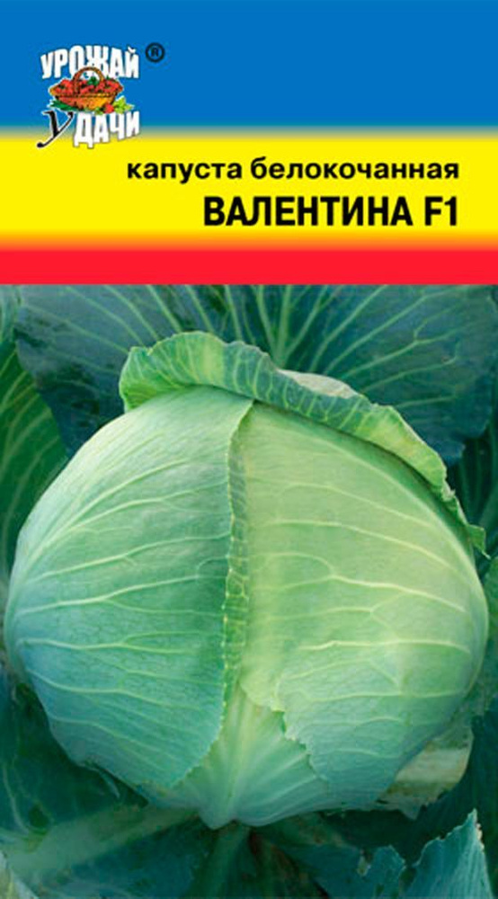 Капуста белокочанная ВАЛЕНТИНА F1 (Семена УРОЖАЙ УДАЧИ, 0,1 г семян в упаковке)  #1