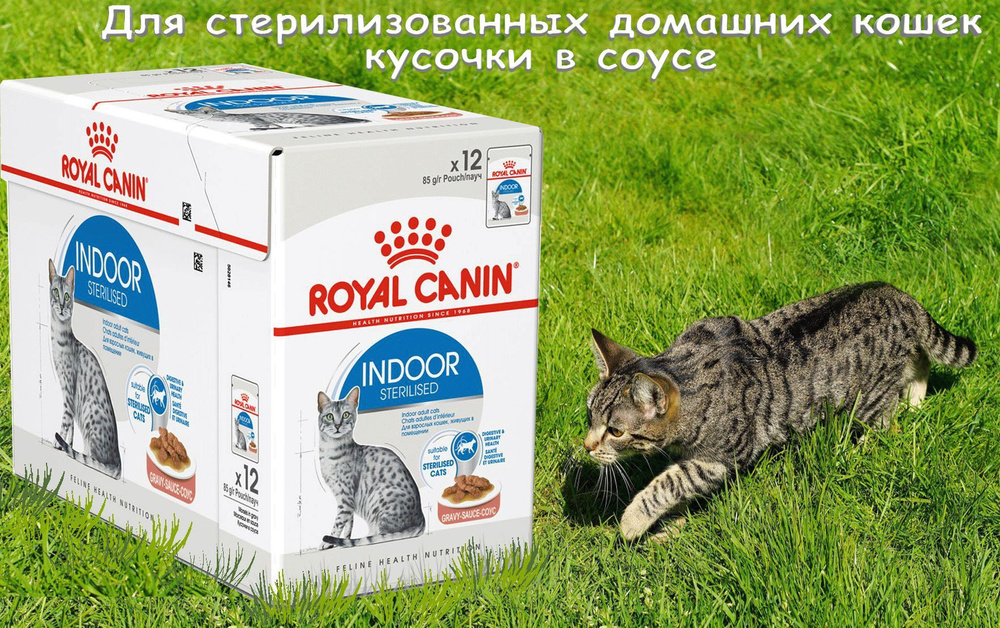 Royal Canin Indoor Влажный корм для стерилизованных взрослых кошек в соусе 12х85 г  #1