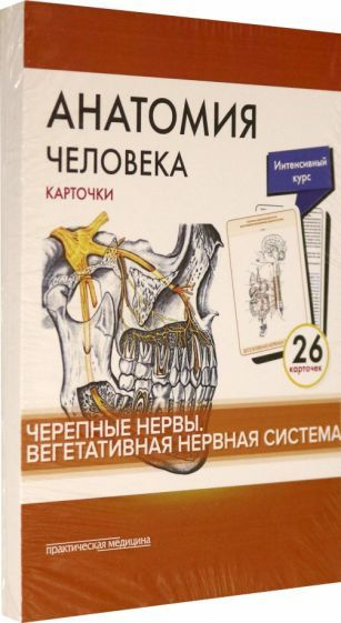 Сапин, Николенко - Анатомия человека.Черепные нервы. Карточки (26 шт) | Николенко Владимир Николаевич, #1