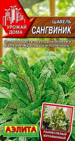 ЩАВЕЛЬ Сангвиник. Семена. Вес 0,05 гр. Отлично растет на подоконнике и балконе. Красивый и полезный. #1