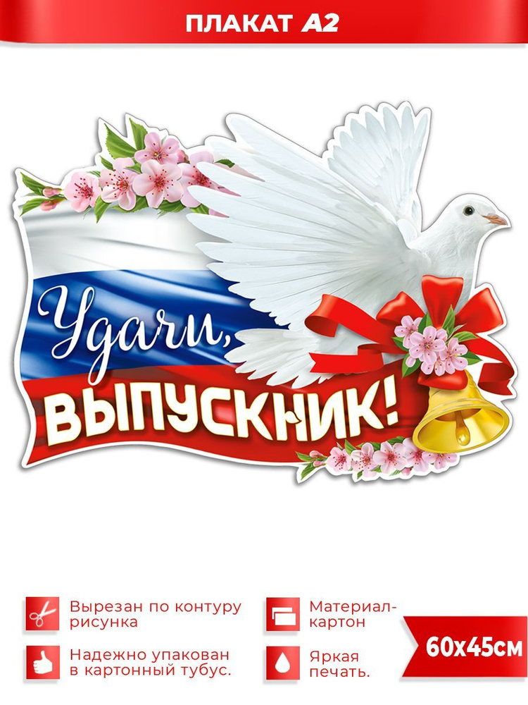 Плакат "Удачи выпускник!", ФДА.card, 45х60 см картон, для интерьера  #1