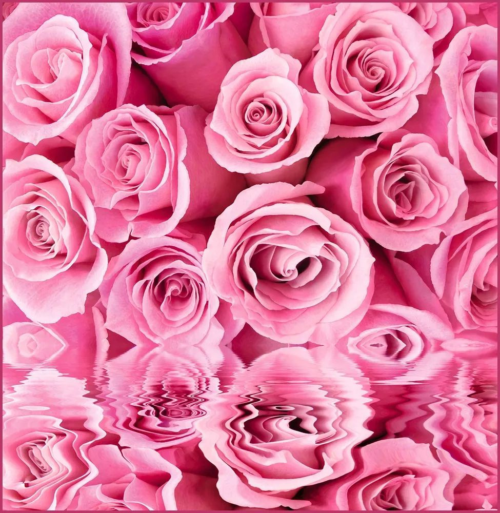 Фотообои глянцевые на стену Розовые розы 196*201 см 6 листов  #1