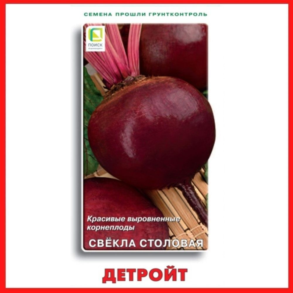 Семена Свекла столовая "Детройт", 3 гр, для дома, дачи и огорода, в открытый грунт, овощи из семян.  #1