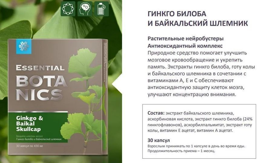 Гинкго билоба и байкальский шлемник -30 капсул по 430 мг. Улучшает память, активизирует клетки головного #1