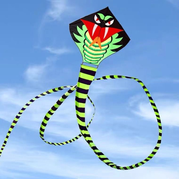 Воздушный змей "Кобра" для мальчиков и девочек, Управляемый летучий змей с катушкой 30 м, Игры на улице #1