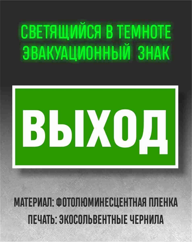 Эвакуационные знаки E22Указатель выхода Размер 200 х 100 мм  #1