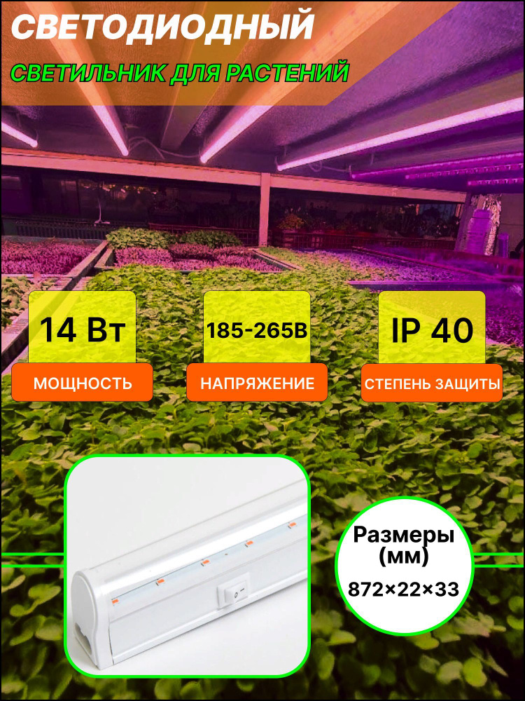 General, Фитосветильник ,Мощность 14 Вт ,Длина 900 мм ,Свет Розовый, полный спектр ,Питание 220В ,Степень #1