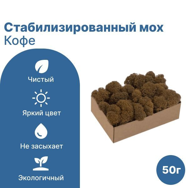 Сибирский Мох Стабилизированный мох Мох, 50 гр, 1 шт #1