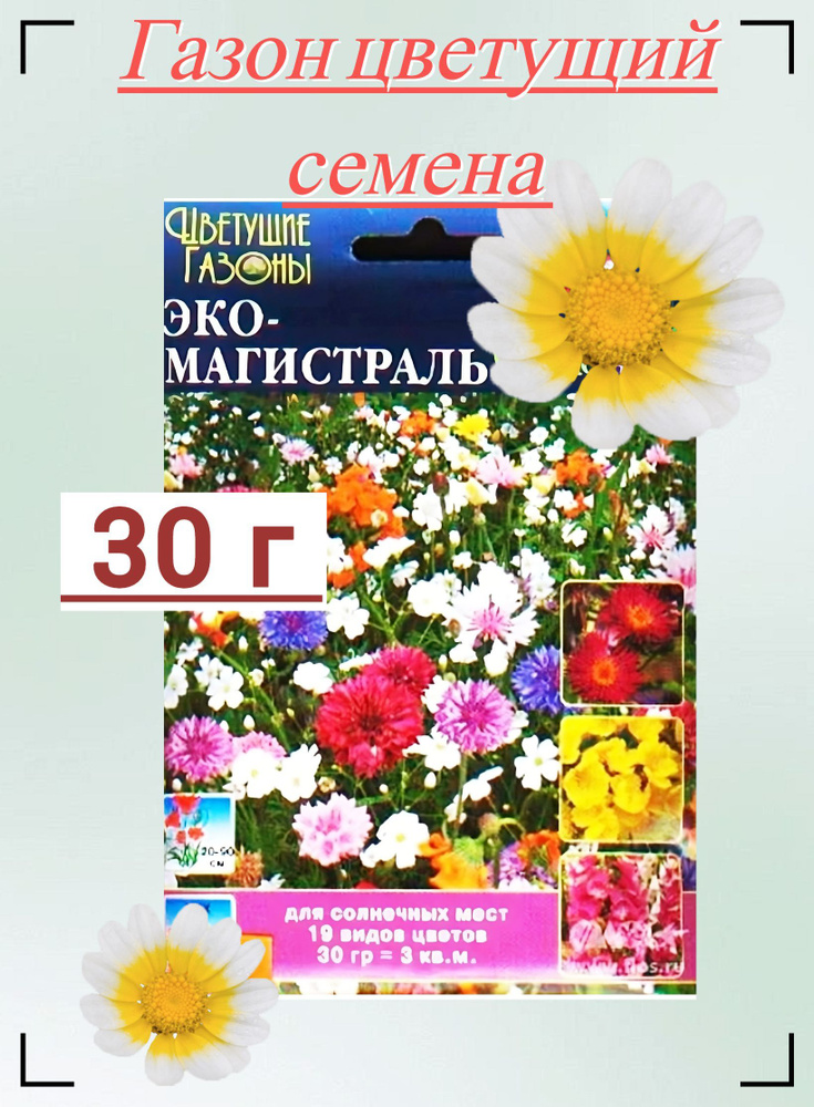 Газон цветущий "Эко-магистраль" 30 г, семена. Светолюбивая травяная смесь с ароматными бутонами подойдет #1