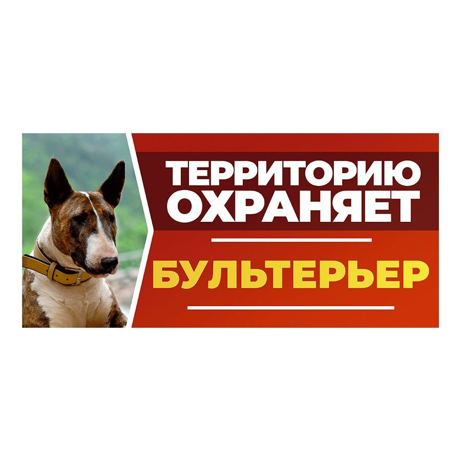 Табличка, DANGER DOG, Бультерьер, на забор, 30см х 14см #1