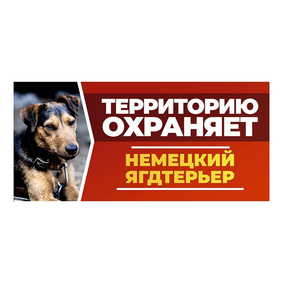 Табличка, DANGER DOG, Немецкий ягдтерьер, на забор, 30см х 14см #1