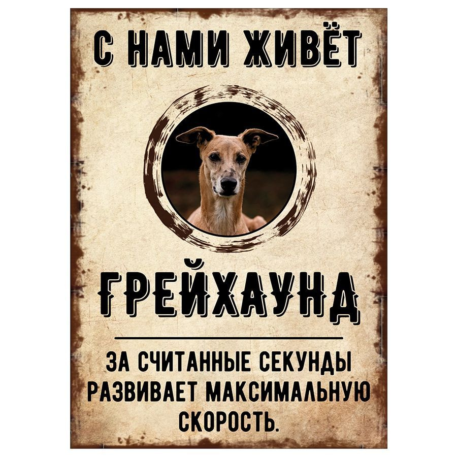 Табличка, декоративная, DANGER DOG, С нами живет Грейхаунд, 18см х 25см  #1