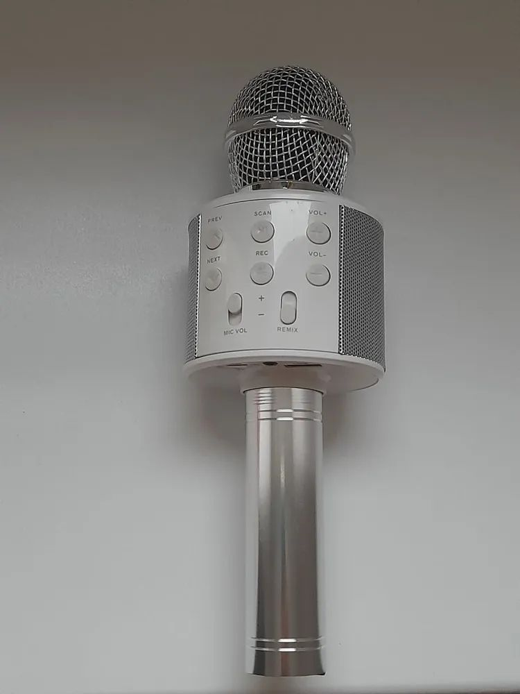 Караоке микрофон WS-858 серебристый #1