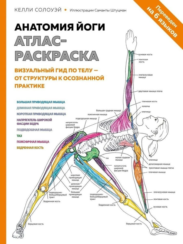 Анатомия йоги. Атлас-раскраска. Визуальный гид по телу - от структуры к осознанной практике  #1