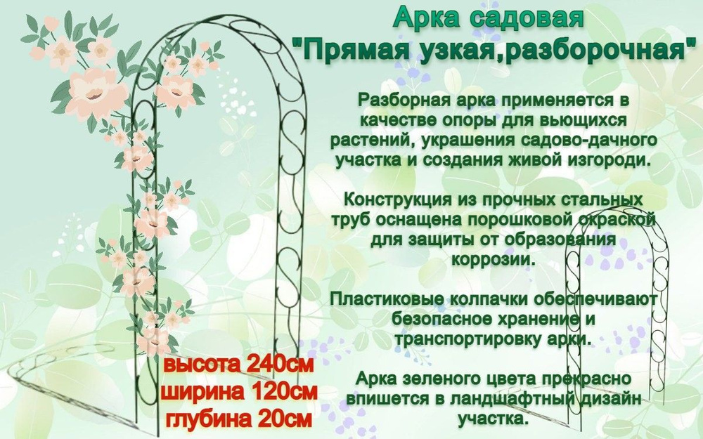 Калатея Арка садовая,1шт #1