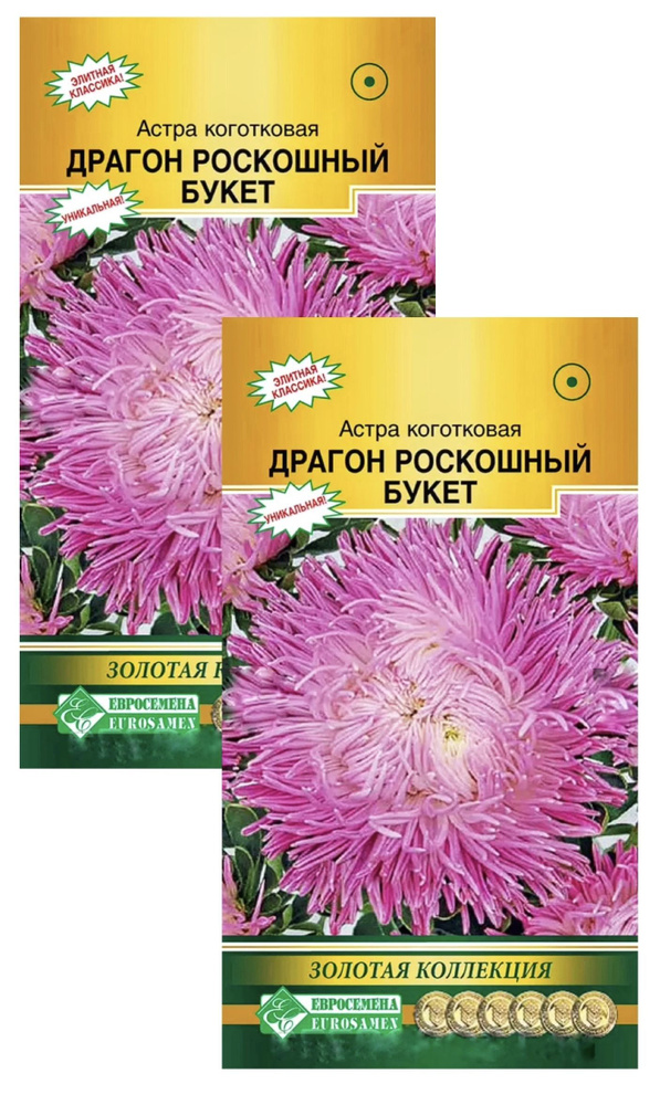 Астра ДРАГОН Роскошный Букет коготковая, 2 пакета, семена 0,1 гр, Евросемена  #1