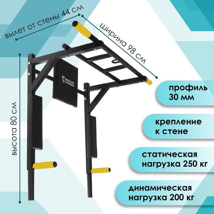 Absolute champion Турник, максимальный вес пользователя: 200 кг #1