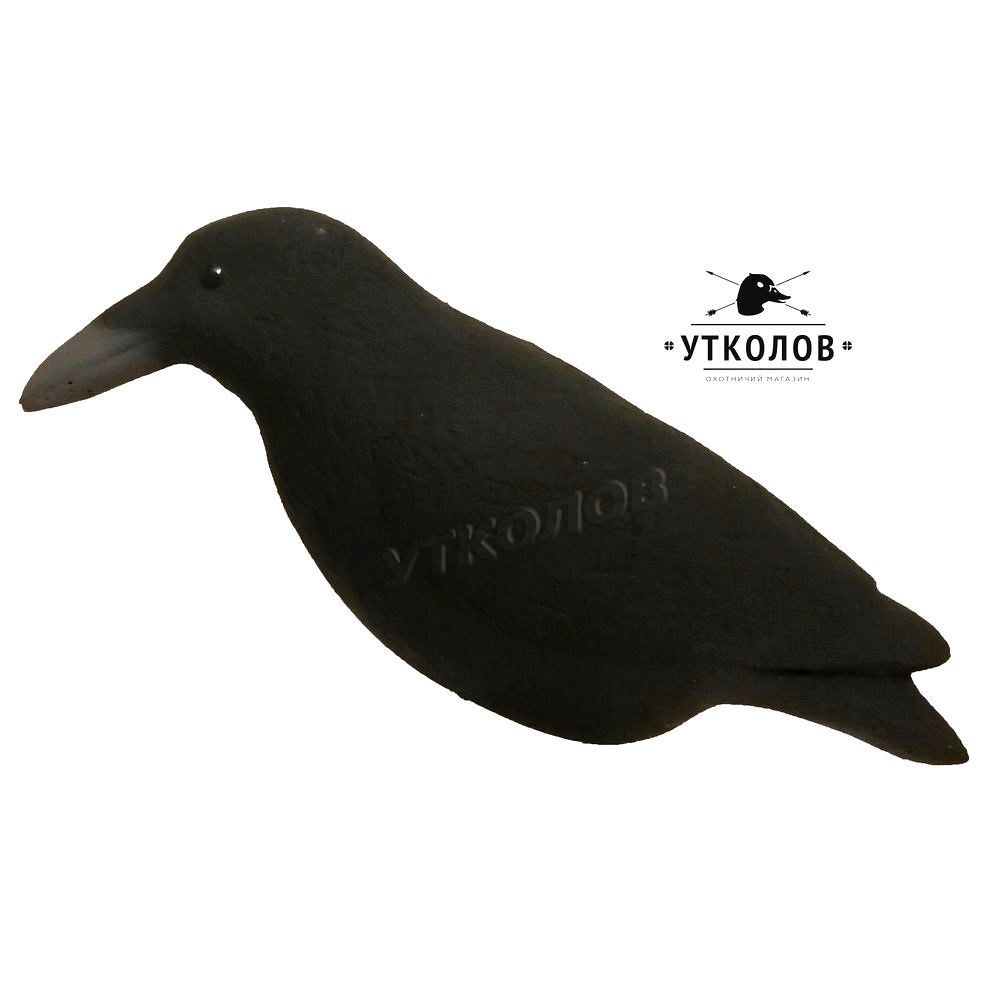 Чучело полнотелое "Ворона черная". Изготовлено из полистирола.  #1