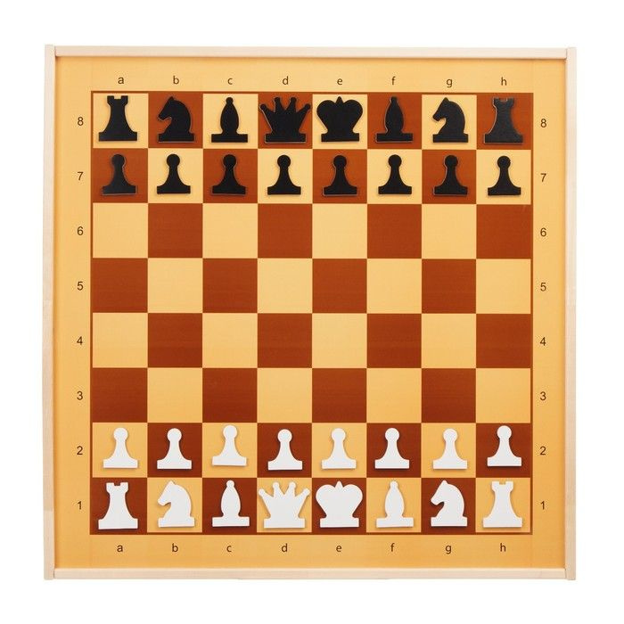 Демонстрационные шахматы и шашки 61 х 61 см, на магнитной доске, король 6.4 см  #1