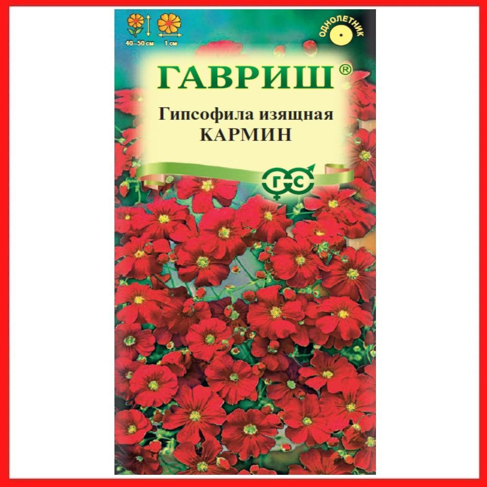 Семена Гипсофила изящная "Кармин" 0,1 гр, однолетние цветы, сухоцветы для дачи, сада и огорода, клумбы, #1