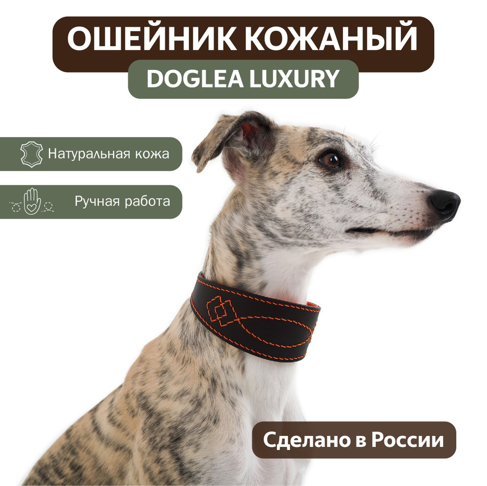 Ошейник DOGLEA LUXURY коричневый/оранжевый XL #1