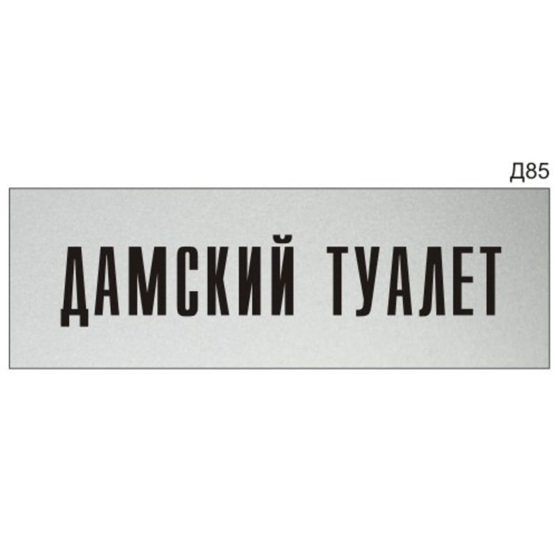 Информационная табличка "Дамский туалет" на дверь прямоугольная Д85 (300х100 мм)  #1