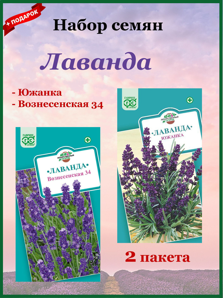 Семена Лаванда Набор №1 (Гавриш) Узколистная 2шт. Вознесенская 34, Южанка  #1