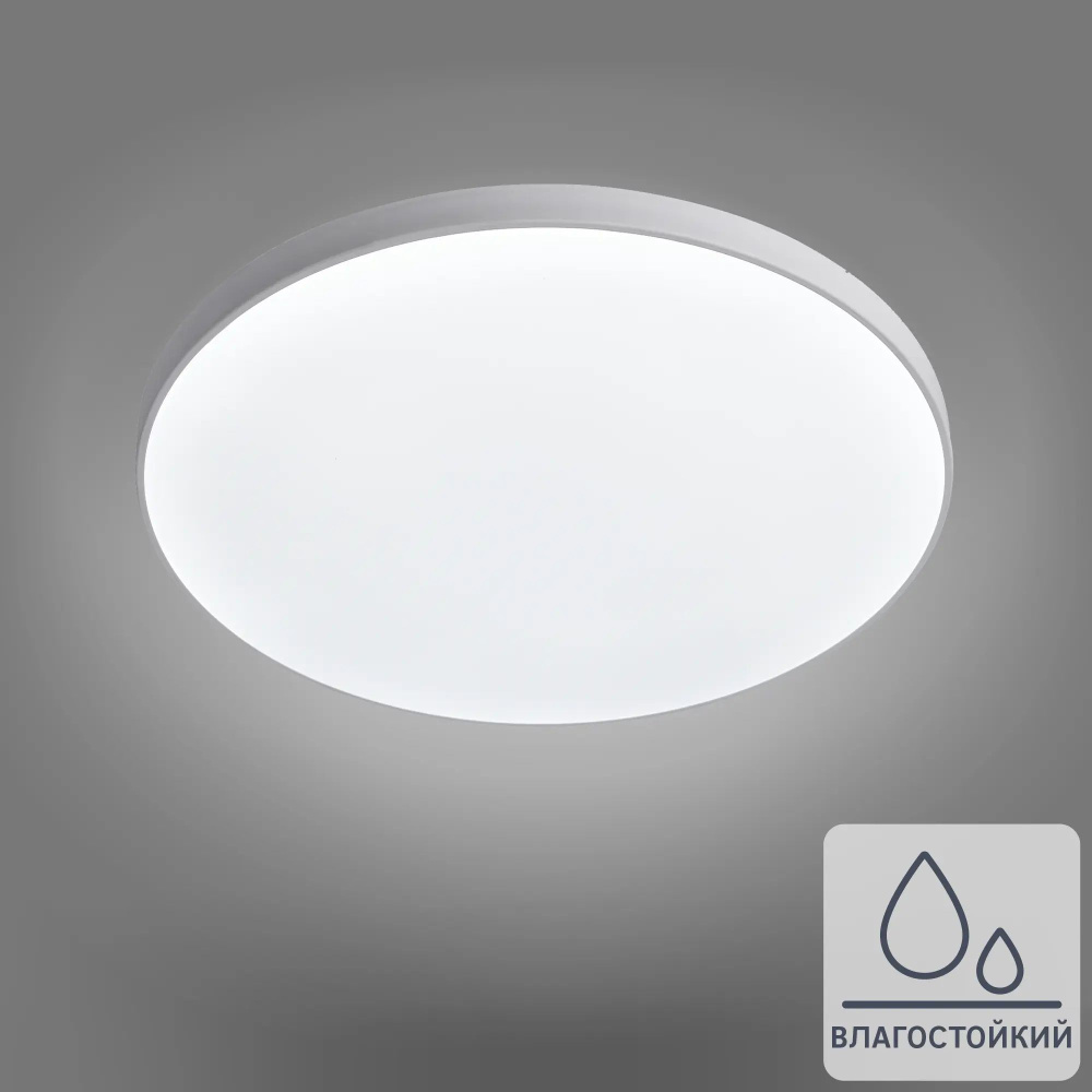Светильник настенно-потолочный светодиодный 18 Вт круг IP65 нейтральный белый свет  #1