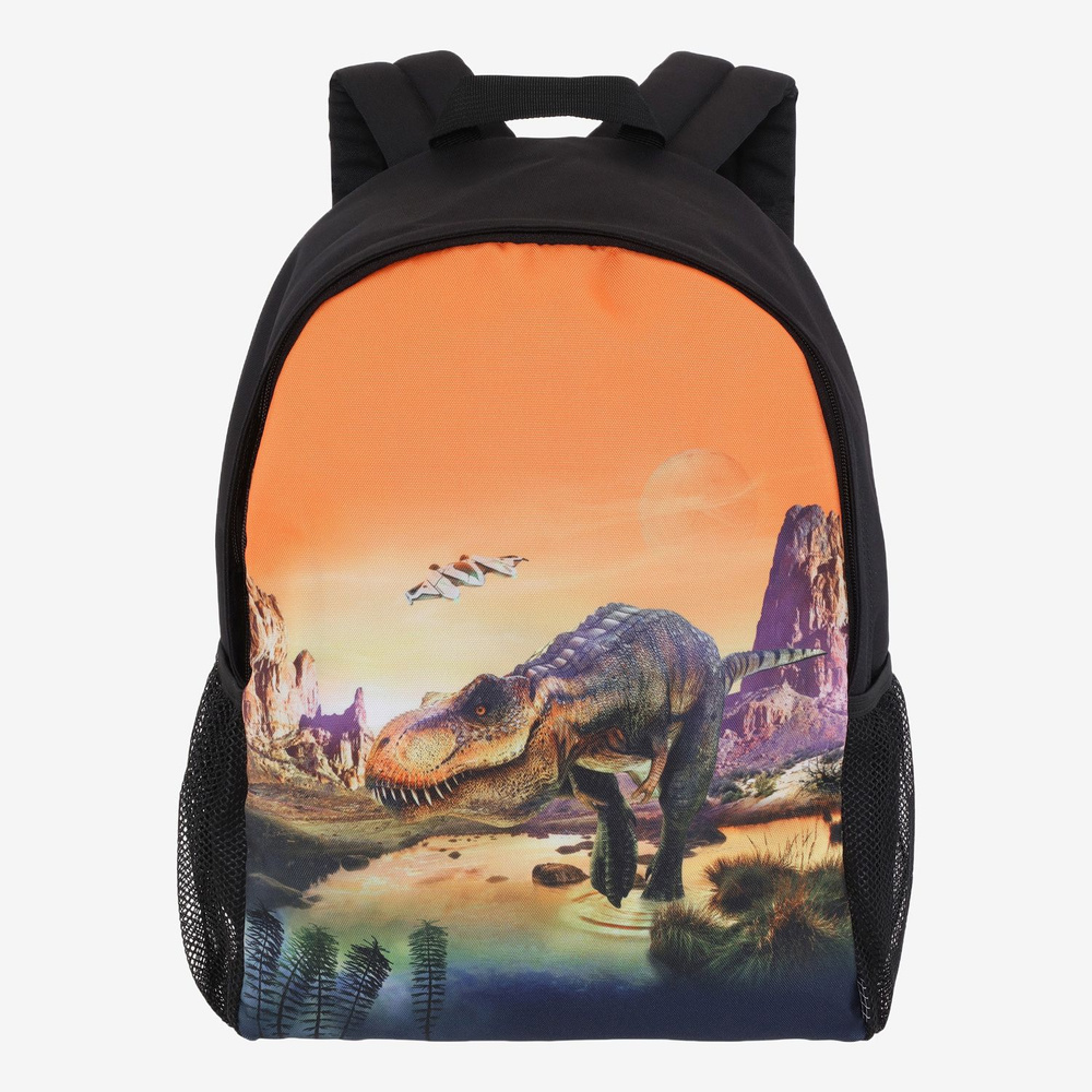 Рюкзак с тираннозавром Backpack Solo Planet T-Rex 7W23V206-3352-24 #1