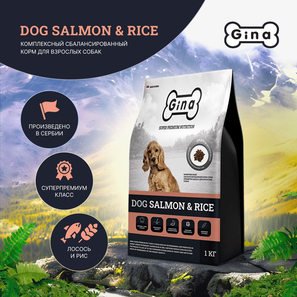 GINA DOG Salmon & Rice комплексный сбалансированный корм супер премиум класса для взрослых собак, 3 кг #1