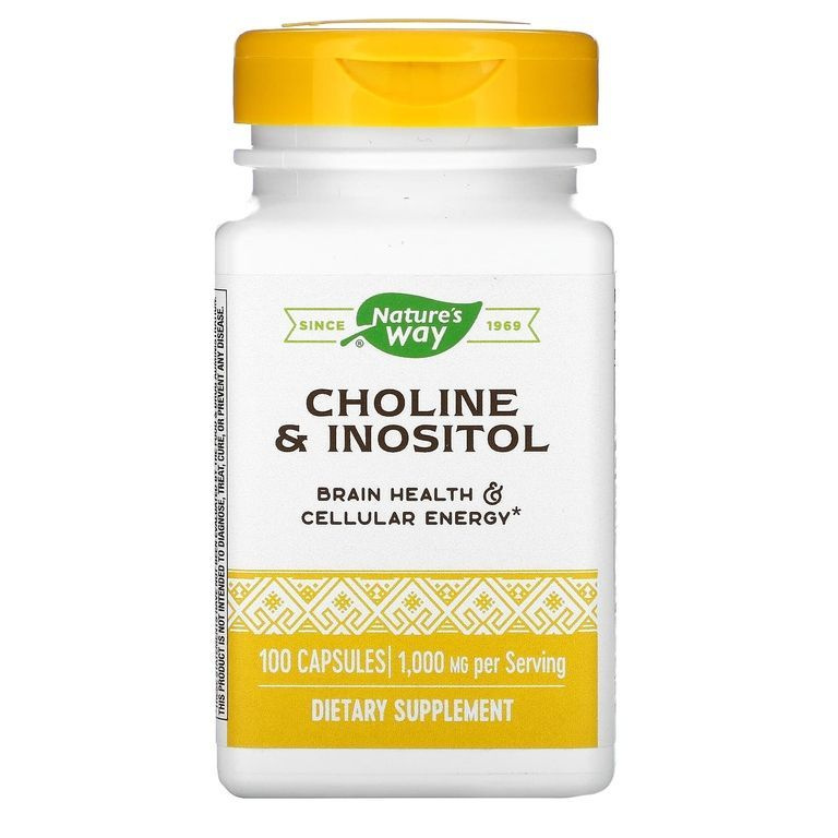 Nature's Way, Choline&Inositol, Холин и инозитол, здоровье мозга и энергия, 1000 мг, 100 капсул  #1