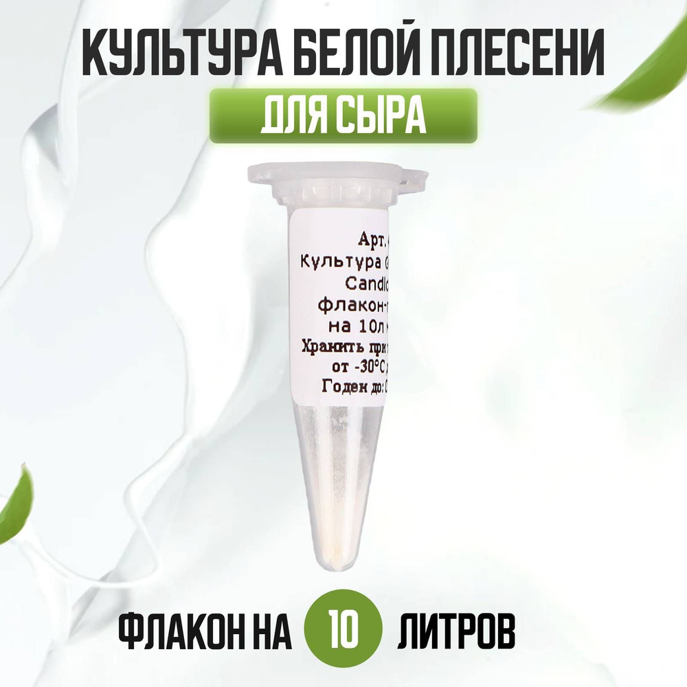 Культура белой плесени для сыра Geotrichum Candidum C #1