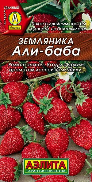 Земляника ремонтантная "Али-Баба" семена Аэлита для открытого грунта и теплицы, 0,04 гр  #1