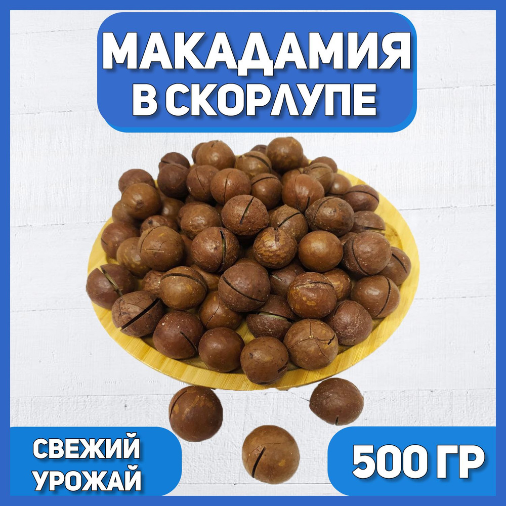 Макадамия в скорлупе 500 гр , 0.5 кг , Отборная Макадамия , Натуральные Высший сорт  #1