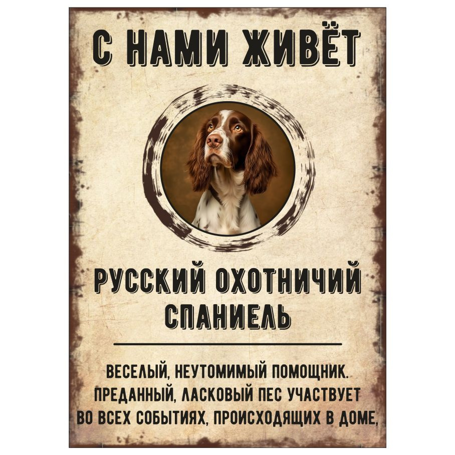 Табличка, декоративная, DANGER DOG, С нами живет Русский охотничий спаниель, 18см х 25см  #1