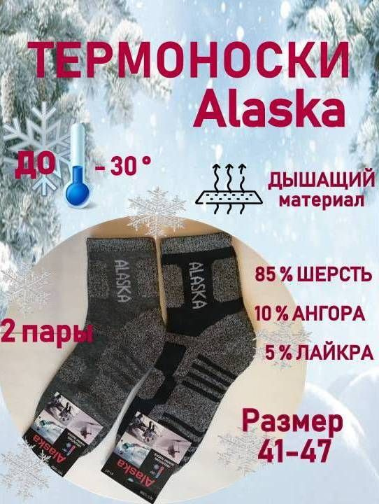 Термоноски ALASKA, 2 пары #1