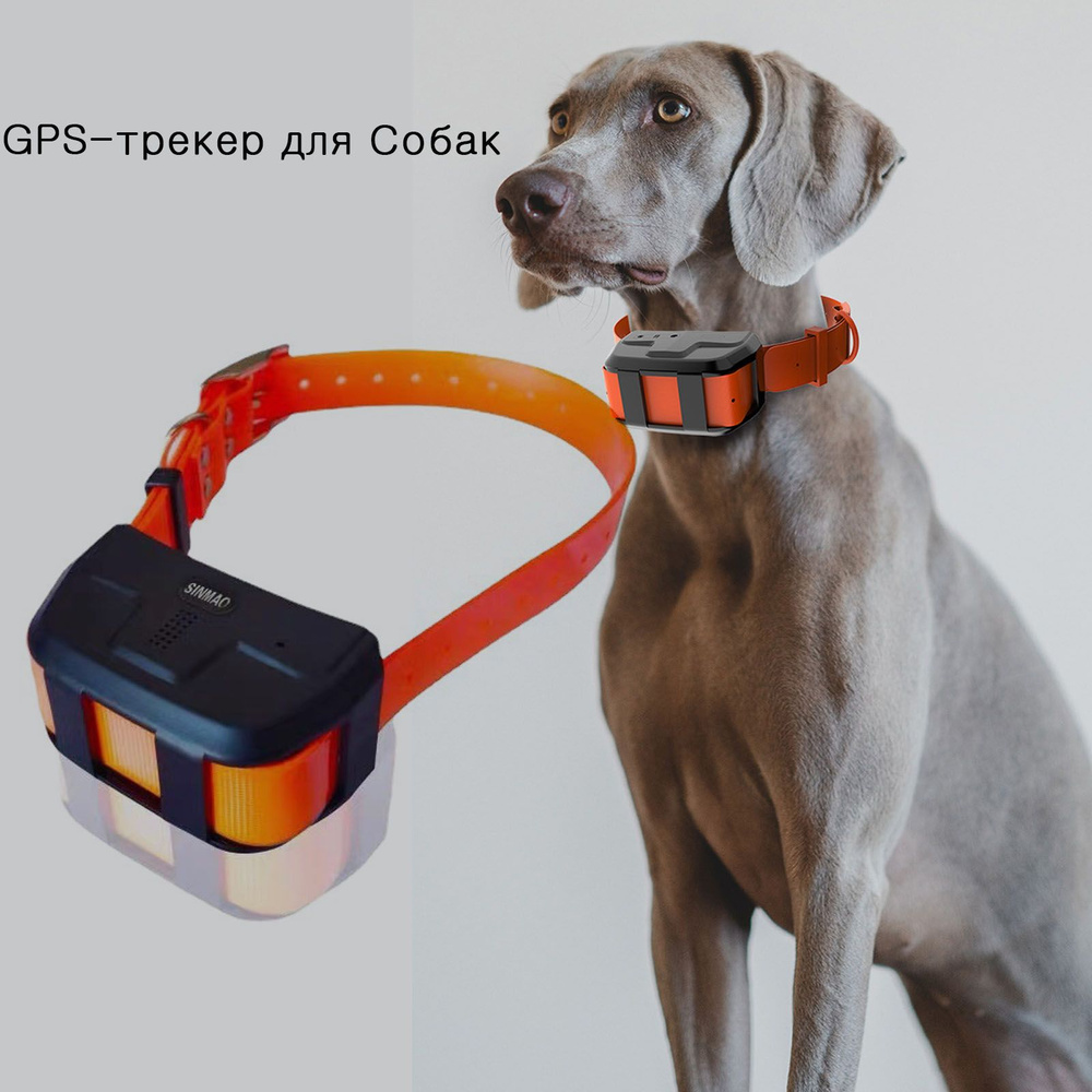 GPS-трекер для питомца 4G GPS трекер для собак, с GPS, A-GPS купить по ...