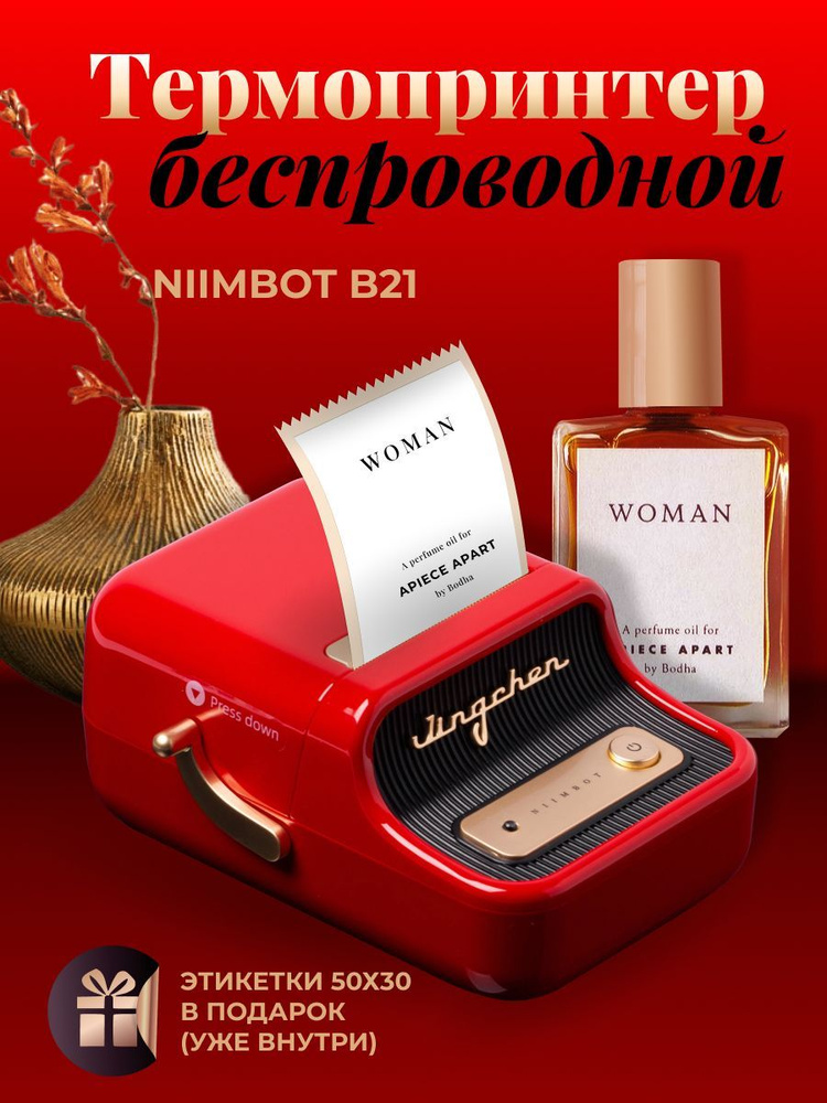 NIIMBOT Принтер этикеток штрих-кода термопринтер Niimbot B21 #1