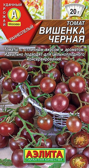 Томат ВИШЕНКА Черная Аэлита один из лучших черри томатов с оригинальной окраской плодов и отличным вкусом, #1