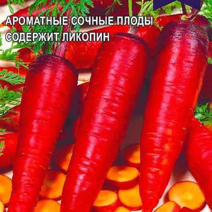 Коллекционные семена моркови Чурчхела красная #1