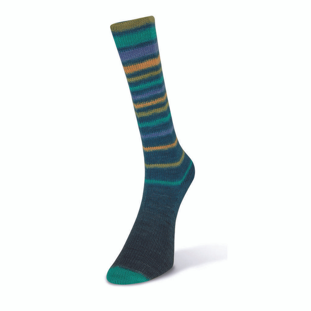 Пряжа Infinity Sock Laines Du Nord - 1 моток (100 гр, 420 м), цвет 015 #1