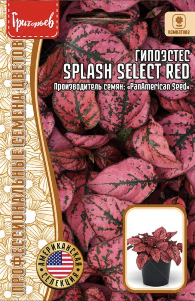 Гипоэстес Splash Select Red, 1 пакет, семена 4 шт, ЧК, многолетнее комнатное  #1