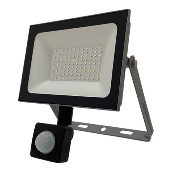 Прожектор светодиодный с датчиком 100 Вт FL-LED Light-PAD SENSOR 4200К нейтральный свет, цвет серый Foton #1
