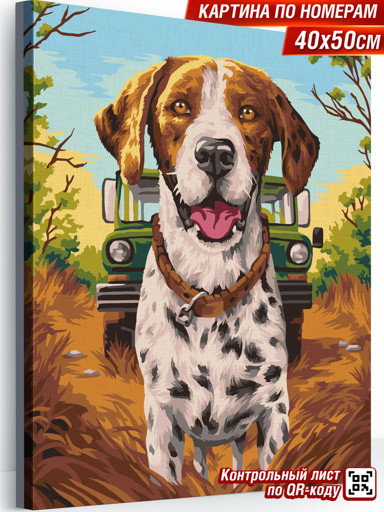 Картина по номерам на холсте на подрамнике 40х50 Собака охотник  #1