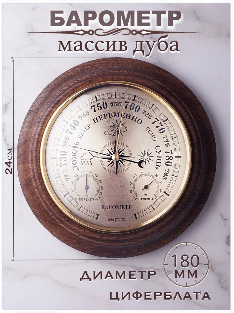 Метеостанция настенная 3 в 1 (барометр, гигрометр, термометр) "Афанасий Никитин" d.24см/механизм 180мм #1