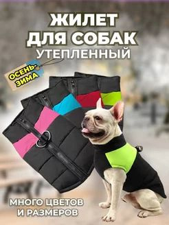 Одежда для собак жилет комбинезон для мелких и средних пород  #1